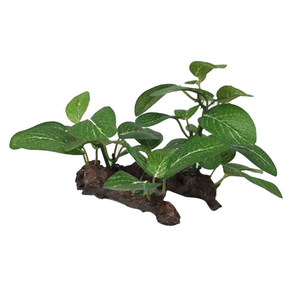 Planted Aquarium Jar - Creative Plastic for Fish Tank Decor
