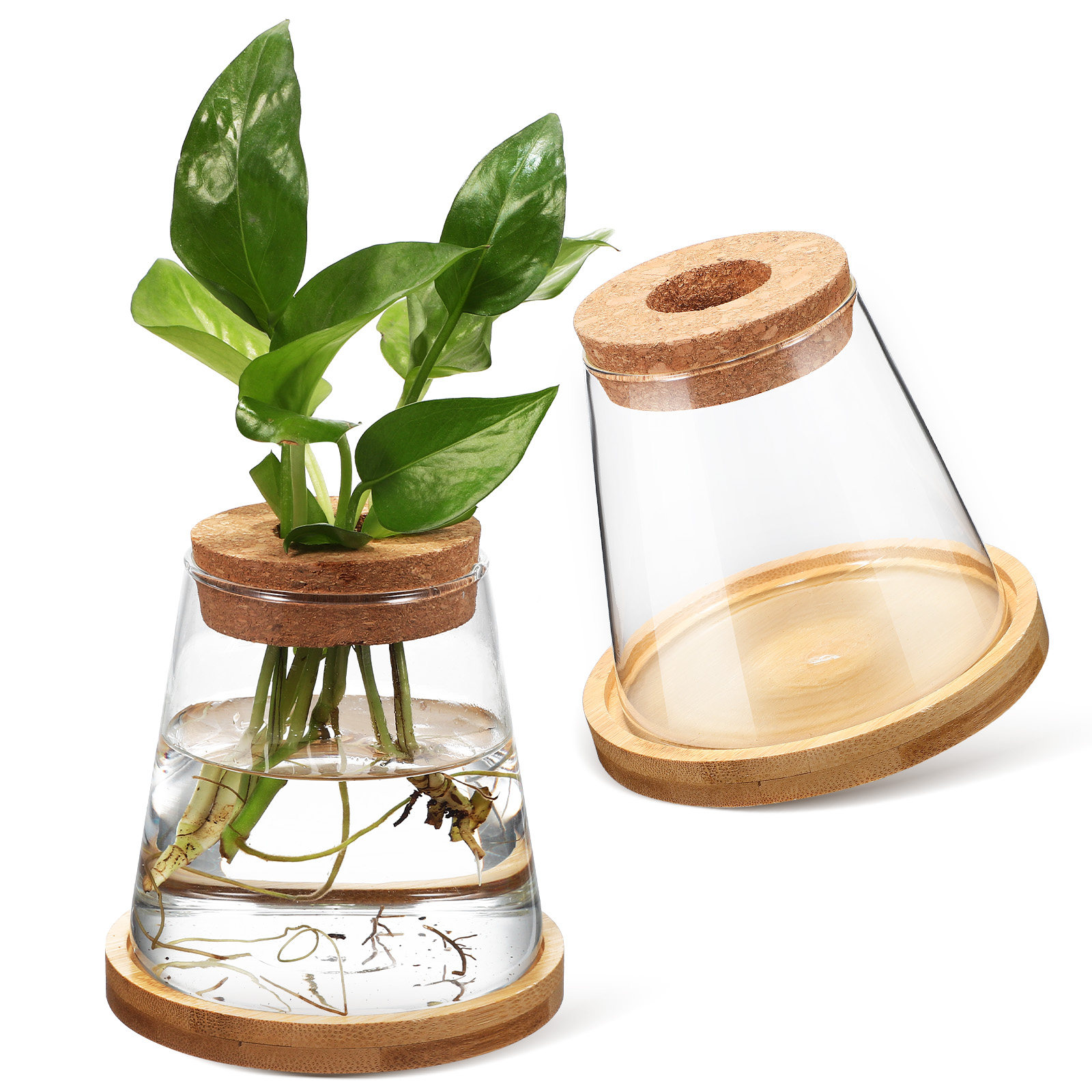 Planted Aquarium Jar - 2Pcs Water Planters Glass Propagation Station