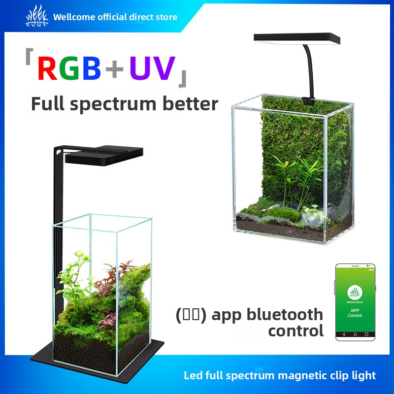 Planted Aquarium Jar - Week Aqua Mini9Pro Magnetic Clamp LED