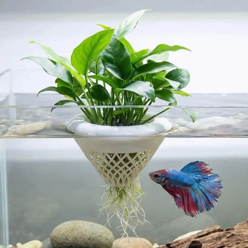 3d Printed Floating Aquarium P - огляд і ціна Planted Aquarium Jar