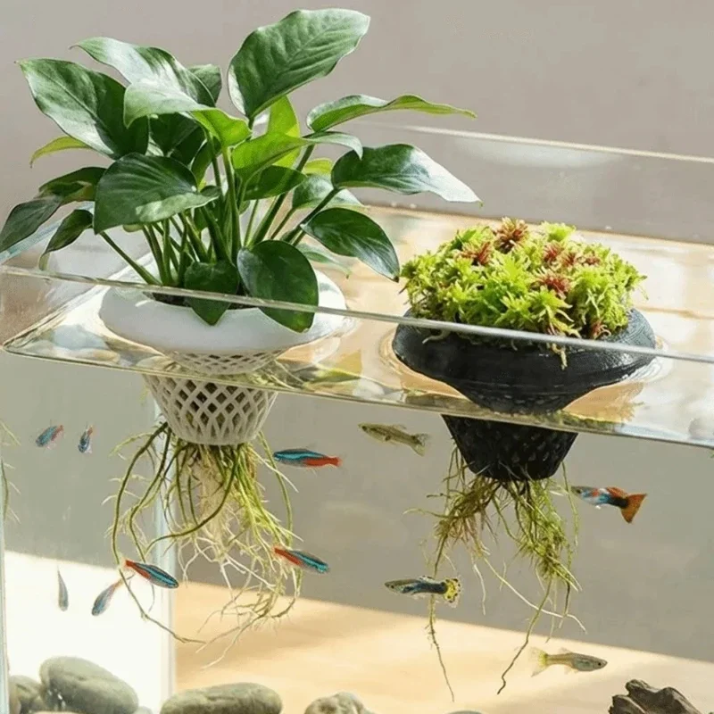 3d Printed Floating Aquarium P - огляд і ціна Planted Aquarium Jar