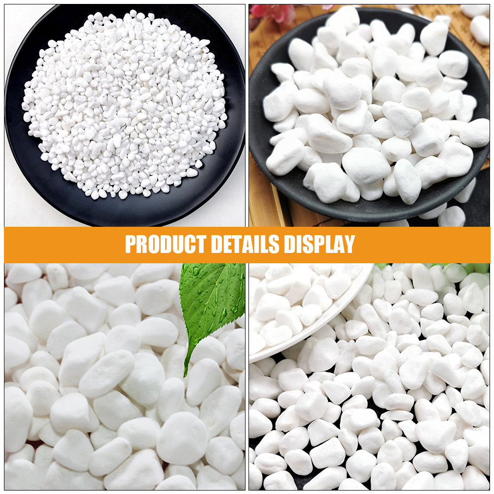 1Set White Decorative Stone Aq - огляд і ціна Planted Aquarium With Rocks