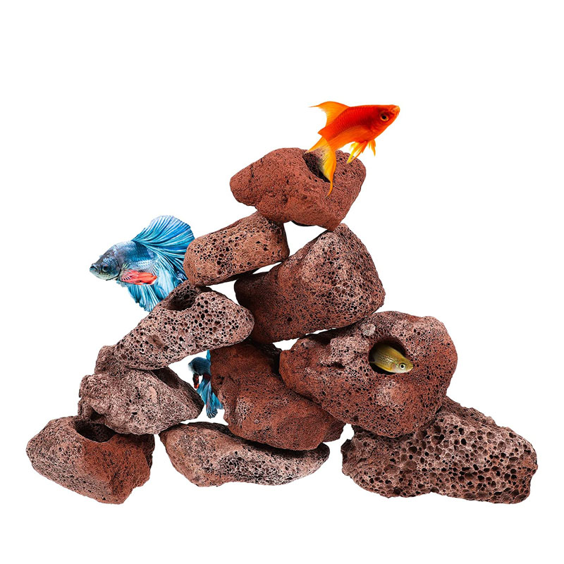 Open Hole Rock Fish Shrimp She - огляд і ціна Planted Aquarium With Rocks