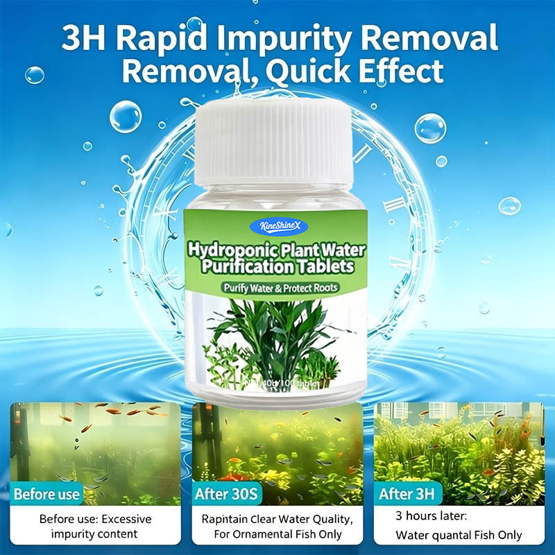 Hydroponic Water Purification  - огляд і ціна Aquarium Plant In Pot