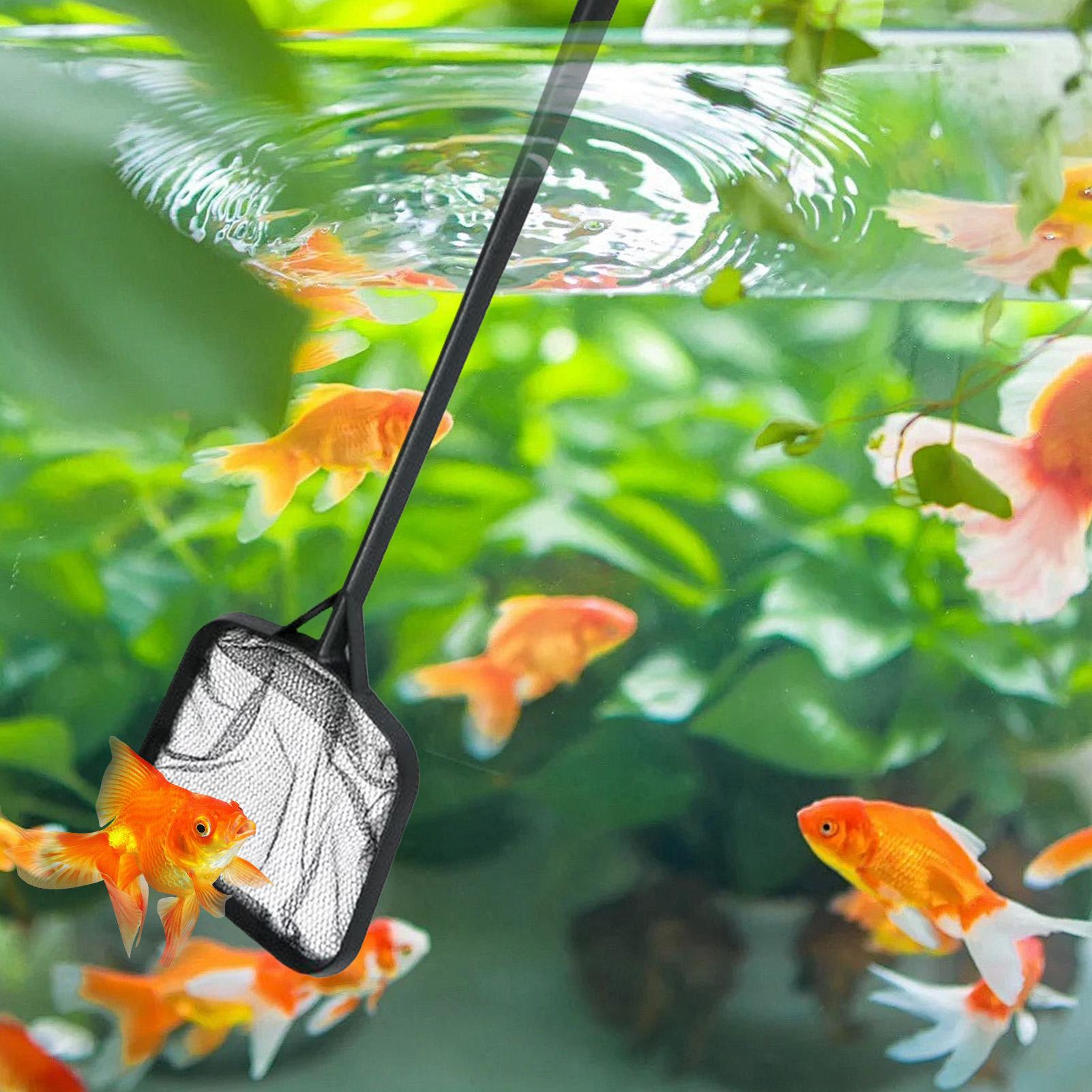 Pool Nets for Cleaning Portabl - огляд і ціна Planted Aquarium Cleaning