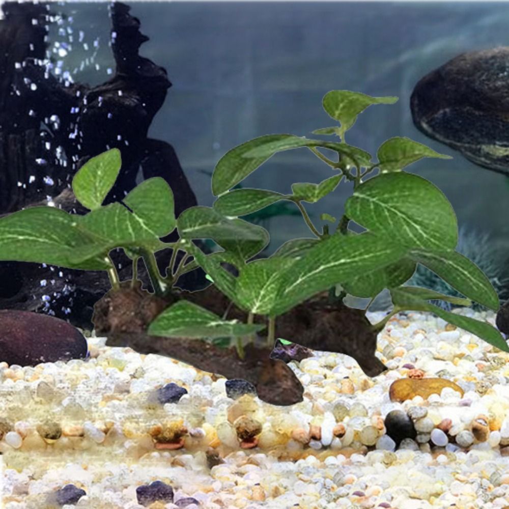 Creative Plastic for Fish Tank - огляд і ціна Planted Aquarium Jar