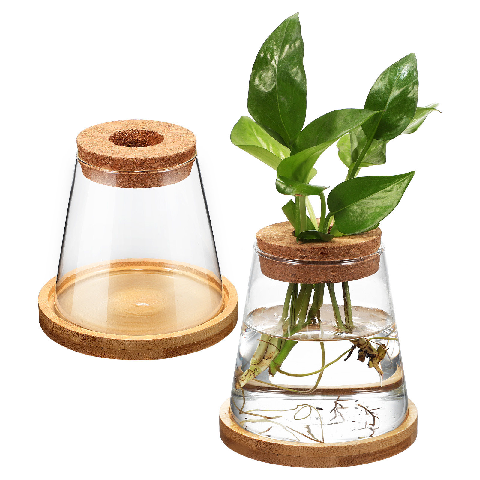 2Pcs Water Planters Glass Prop - огляд і ціна Planted Aquarium Jar