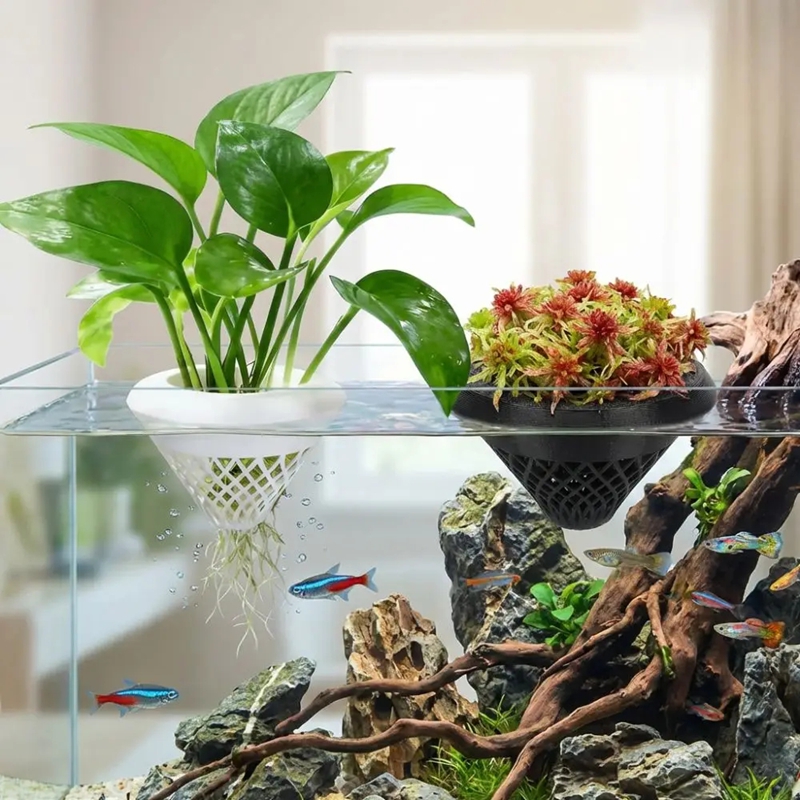 Floating Aquarium Plant Pot, 3 - огляд і ціна Planted Aquarium Jar
