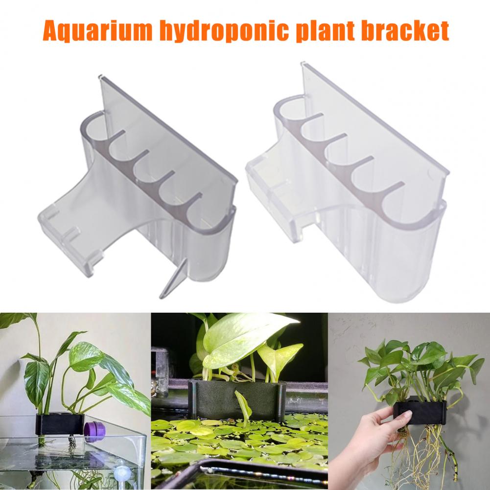 4.5/6.5cm Aquarium Plant Holde - огляд і ціна Aquarium Plant In Pot