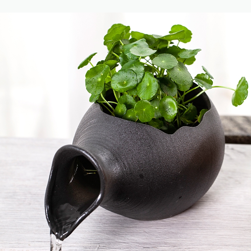 Ceramic Fish Aquariums Fish-fa - огляд і ціна Planted Aquarium Jar