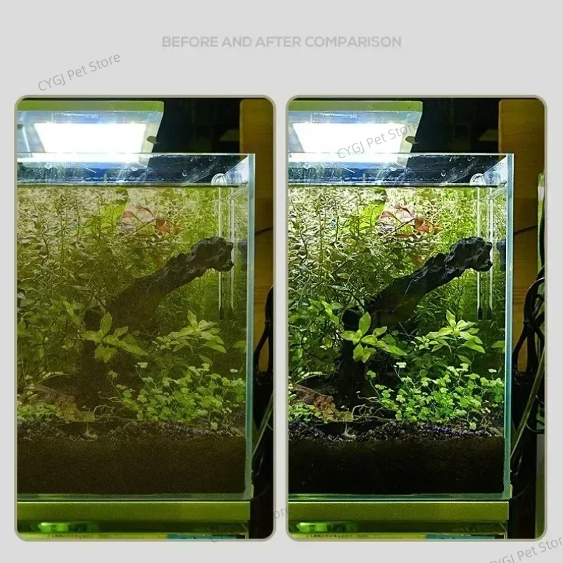 Fish Tank Cleaning Tool Flat S - огляд і ціна Planted Aquarium Cleaning