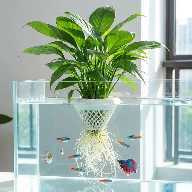 Floating Aquarium Plant Pot, 3 - огляд і ціна Planted Aquarium Jar