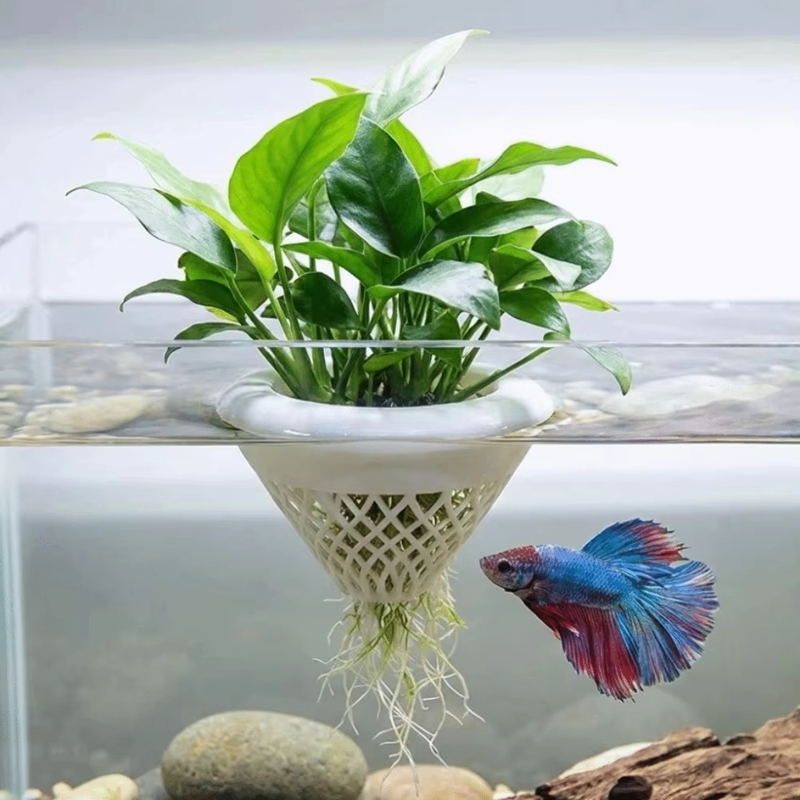 Floating Aquarium Plant Pot, 3 - огляд і ціна Planted Aquarium Jar