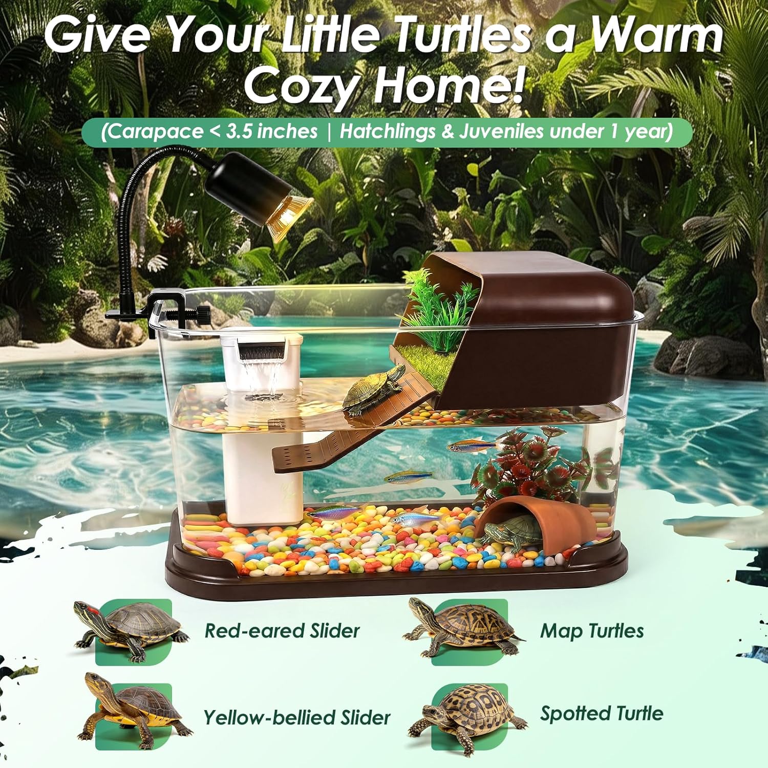 Turtle Tank Starter Kit,PC Tur - огляд і ціна Planted Aquarium Starter Kit