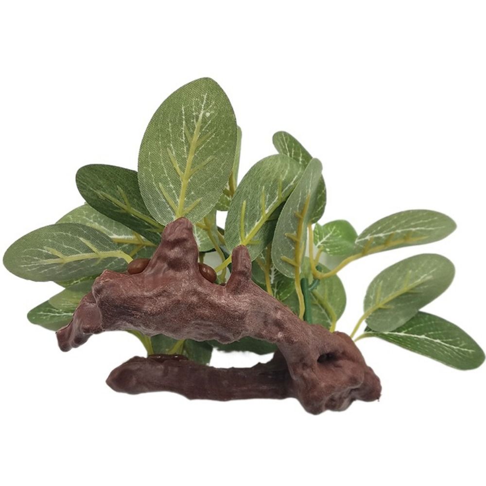 Creative Silk Realistic Simula - огляд і ціна Planted Aquarium Jar
