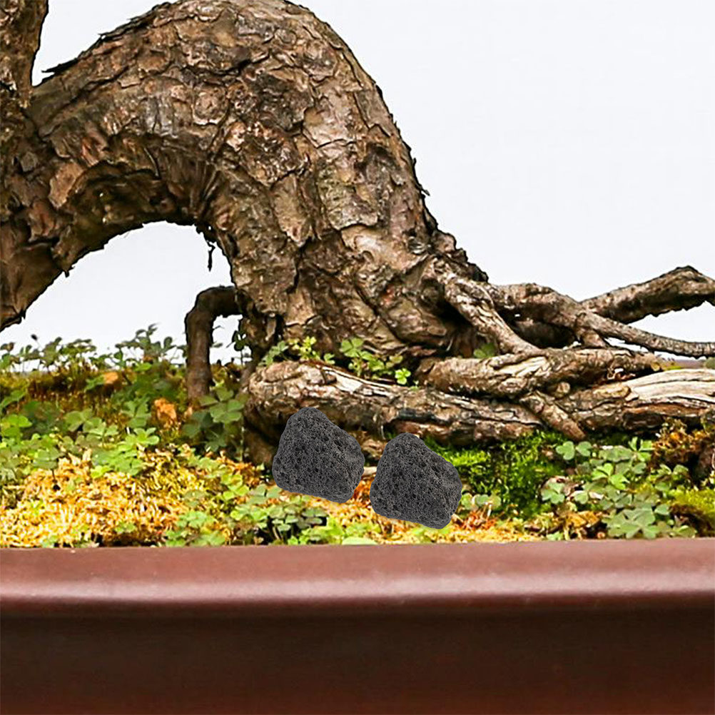 Fish Tank Volcanic Rocks Natur - огляд і ціна Planted Aquarium With Rocks