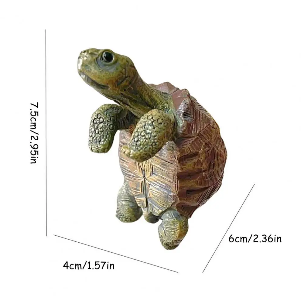 Fishing Turtle Hanging Turtle  - огляд і ціна Aquarium Planted Tank