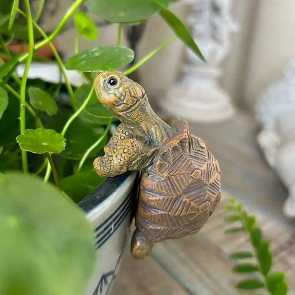 Fishing Turtle Hanging Turtle  - огляд і ціна Aquarium Planted Tank