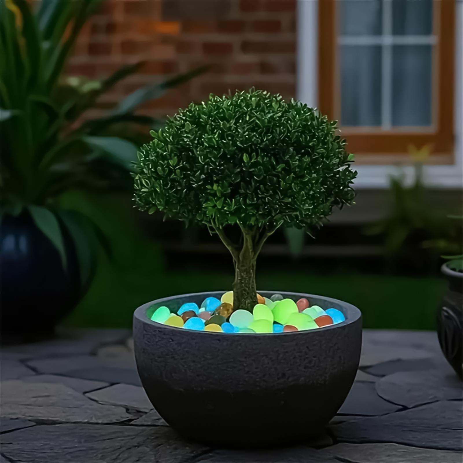 Landscaping Rocks 20 Pieces 1. - огляд і ціна Planted Aquarium With Rocks