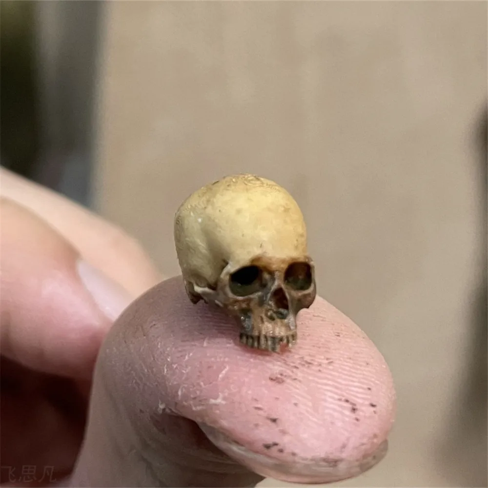 Mini Skull High Quality Miniat - огляд і ціна Aquarium Plant In Pot