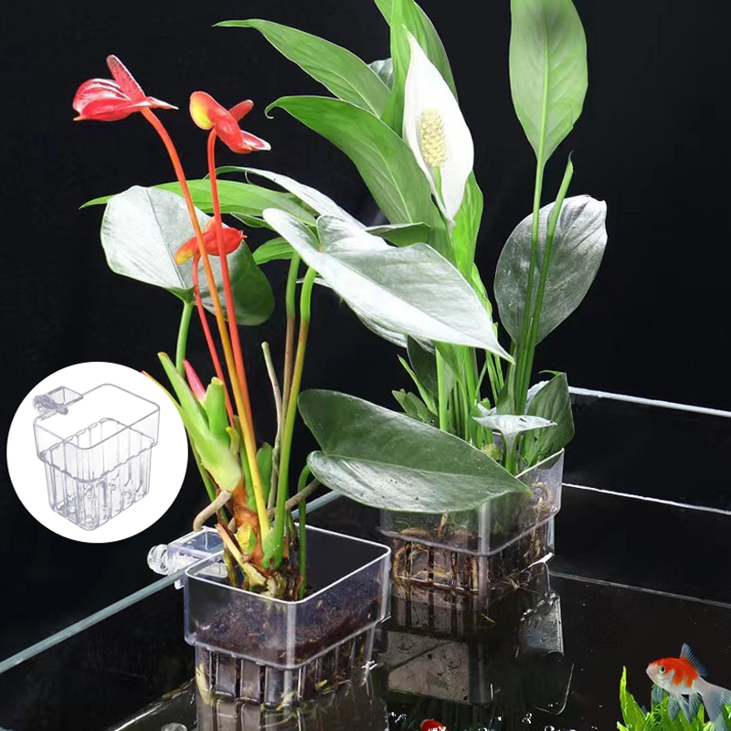 Multifunctional Fish Aquarium  - огляд і ціна Aquarium Planted Tank