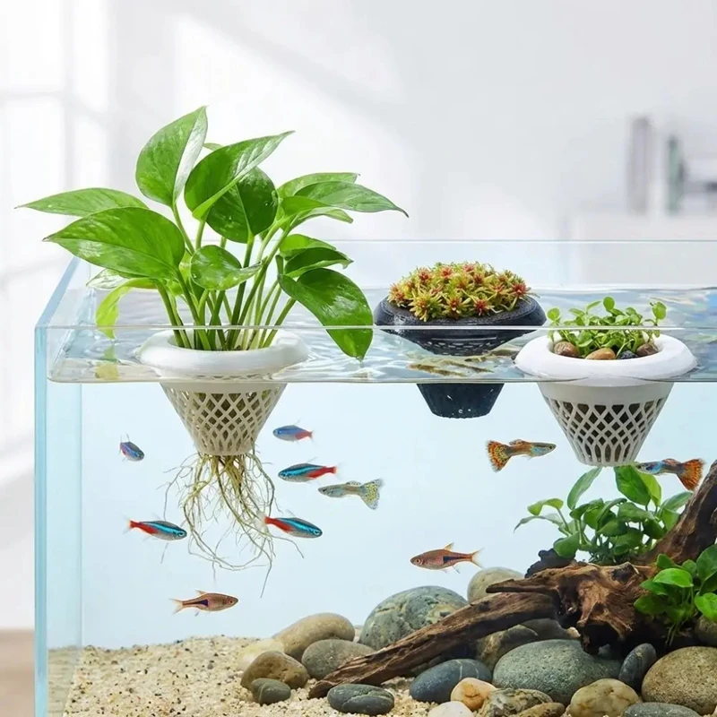 3d Printed Floating Aquarium P - огляд і ціна Planted Aquarium Jar