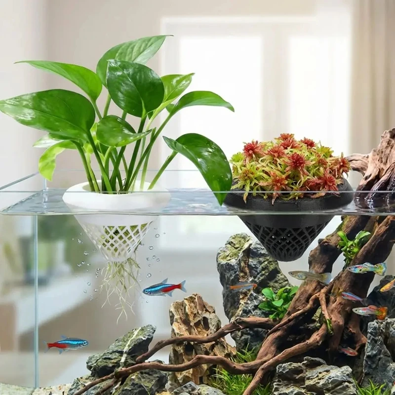 3d Printed Floating Aquarium P - огляд і ціна Planted Aquarium Jar