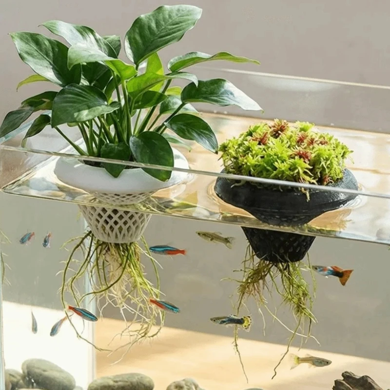 3d Printed Floating Aquarium P - огляд і ціна Planted Aquarium Jar