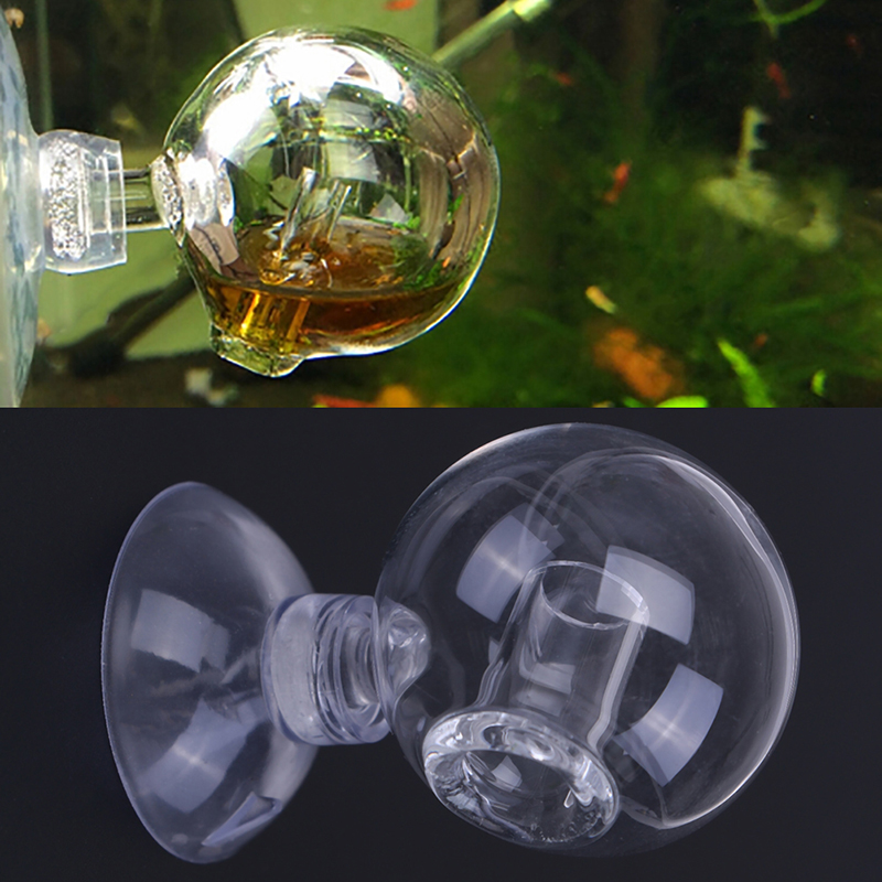 Diffuse Glass CO2 Drop Checker - огляд і ціна Aquarium Plant In Pot