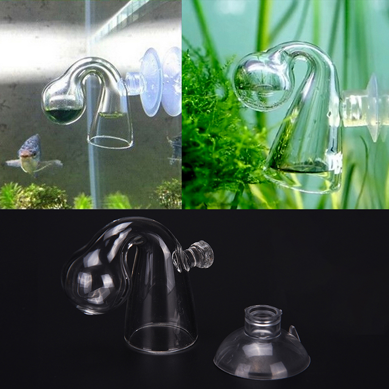 Diffuse Glass CO2 Drop Checker - огляд і ціна Aquarium Plant In Pot