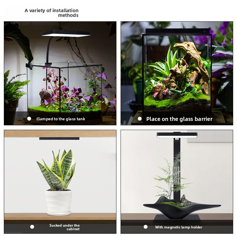 Week Aqua Mini9Pro Magnetic Cl - огляд і ціна Planted Aquarium Jar